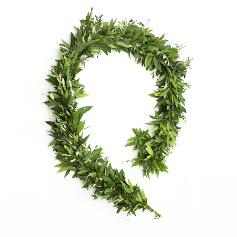 72'' in. Fresh Bay Laurel Garland - W011250976 - Buybuyfurniture